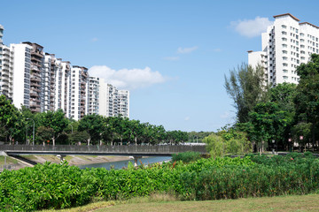 residential condominiums near a lake or river with green park ad trees