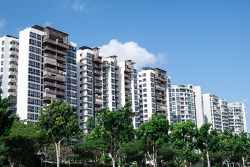 Fototapeta na wymiar residential condominiums near a lake or river with green park ad trees