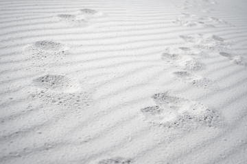 traces on the white sand
