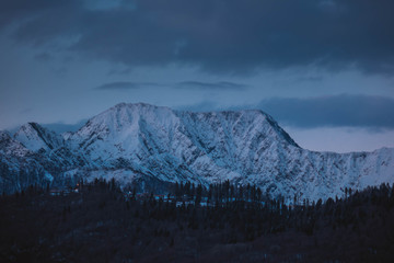 snowy mountains at night with forest
