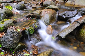 Naklejka na ściany i meble Stream with waterfall and mossy stones around