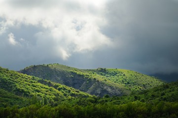 Mountain ranges covered with forest and bushes