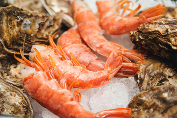 Fresh raw shrimps and oysters on display on ice at fishermen market. Seafood shop. Healthy food....