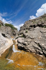 Mountain stream flows through stones