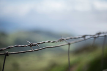 Chain link with focus on a skewer