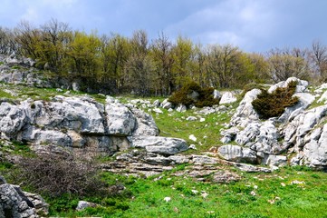 Meadow with green grass strewn stones and boulders