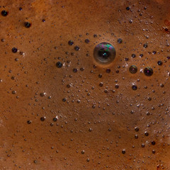 Coffee Foam Texture in Daylight