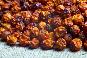 dried rowan fruit. Rowan fruit. Sorbus aucuparia