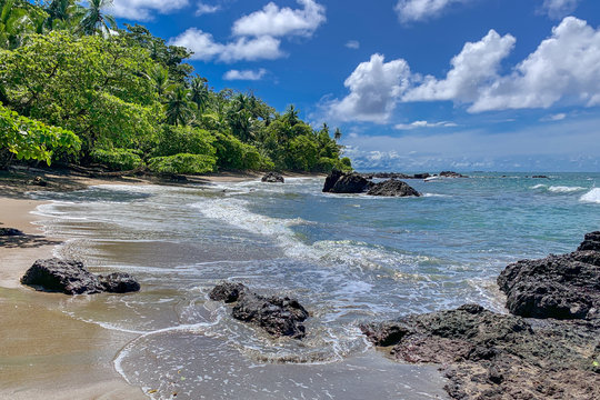 Costa Rica. Beach at the pacific coast in the Corcovado National Park (Spanish: Parque Nacional Corcovado).