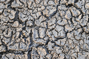 Close-up of dry cracked ground