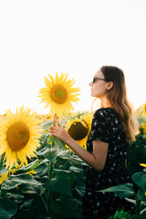 young beautiful girl in a field among the flowers of sunflower in the sunset time