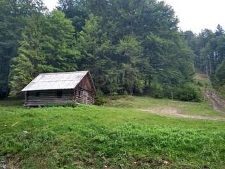 old barn in field