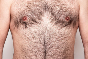 Close-up Part of hairy Body of Man, Male Chest with Hair