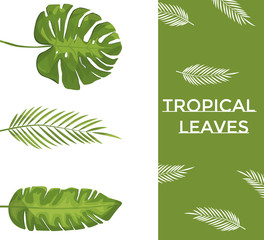 Exotic tropical leaves. 