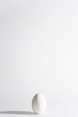White egg on a white background in the center. Modern easter card. Design, visual art, minimalism