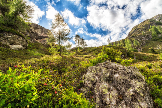 Austria, Carinthia, Fragant, mountain