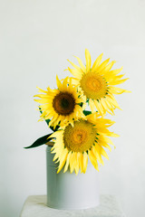 bouquet of bright yellow sunflower flowers in a retro vase on a white background