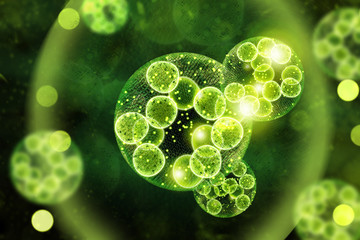 Green Algae Cells 3D Illustration - obrazy, fototapety, plakaty
