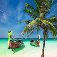 Amazing tropical beach with boats and palm tree. Thailand