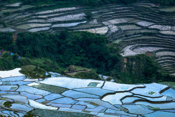 Abstract rice terraces texture with sky reflection. Banaue, Philippines