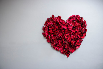 Obraz na płótnie Canvas heart of petals love valentines day