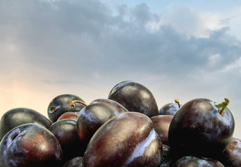 ripe plums on the background of the sky.