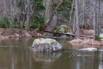 Naklejka premium floodwater