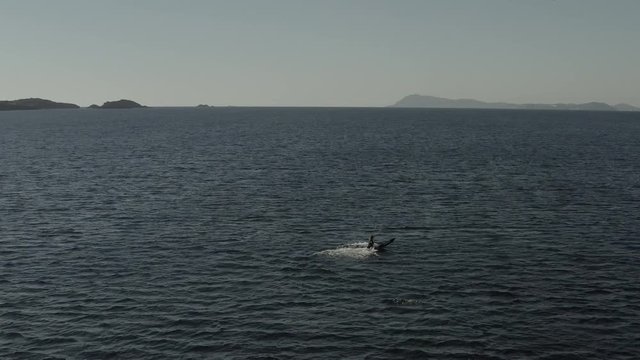 Sport de glisse, Kitesurf