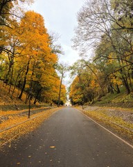 autumn country road