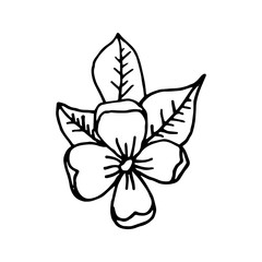 Single phantasy flower icon . Botanical element for invitation, wedding greeting cards, logo. Herbs. Hand drawn vector floral illustration in doodle style outline drawing isolated on white background