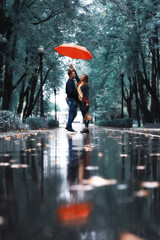 two people under an umbrella / a man and a woman are walking in a park with an umbrella, walking in...