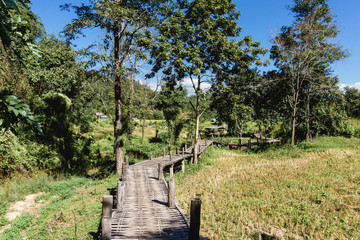 Fototapeta na wymiar Bamboo bridge in Pai Thailand. Popular tourist destination in North of Thailand. Long wooden bamboo path through rice fields.