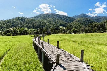 Bamboo bridge in Pai Thailand. Popular tourist destination in North of Thailand. Long wooden bamboo path through rice fields.