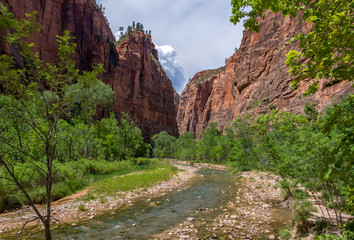 Utah, USA - River in the Canyon of Zion National Park