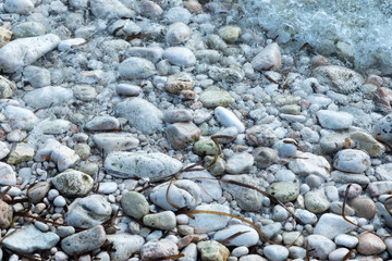 shore with stones
