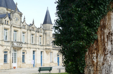 Naklejka premium Closeup architectural details of ancient historic castle or chateau in France - in the background of an old tree