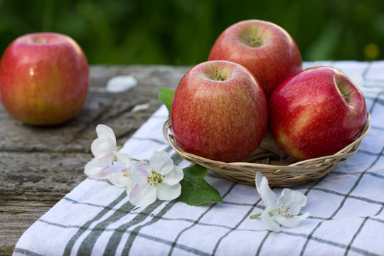 Red apples in a basket, Apple blossoms. Close-up on a background of green grass.