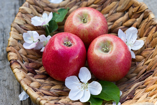 Apples in a basket, Apple blossoms. Close up.