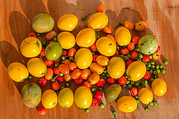tropical fruits