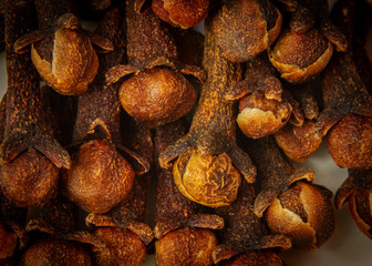 Clove taken as macro shot