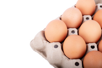 Fresh brown chicken eggs on panel