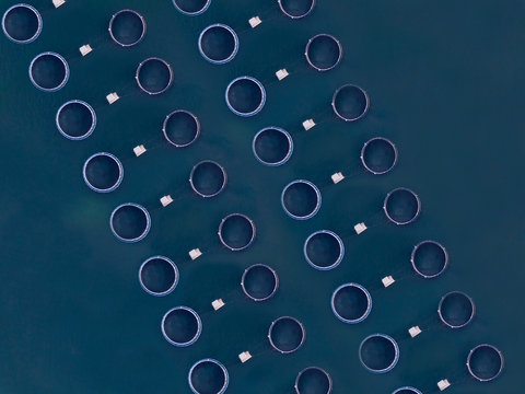 Aerial view of fish farm