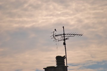 image  du passé, antenne rateau,