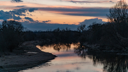 sunset and crowned crane on rever, nature, wildlife