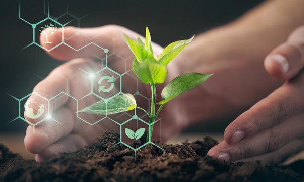 Policosanol (Octacosanol) supplier Policosanol (Octacosanol) supplier