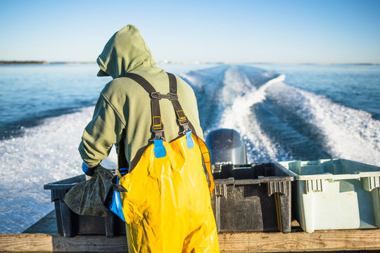 Aquaculture shellfishing for conch on Narragansett Bay in Rhode Island
