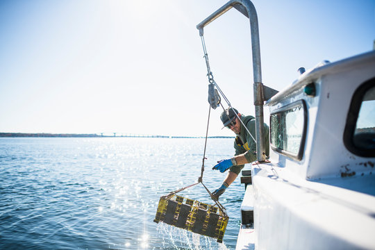 Pulling pots for conch shellfishing on Narragansett Bay