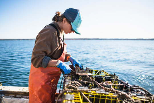 Woman measuring conch on shellfishing boat on Narragansett Bay