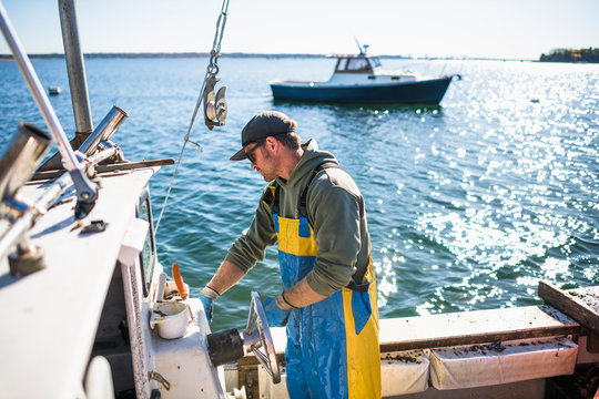 Pulling pots for conch shellfishing on Narragansett Bay