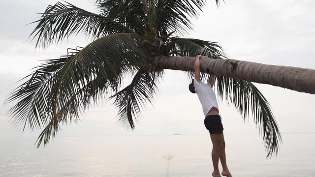 A young man hangs on a palm tree on a tropical beach. Slow motion.